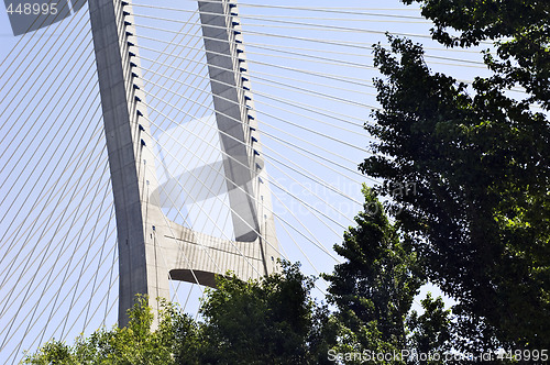 Image of Suspension bridge