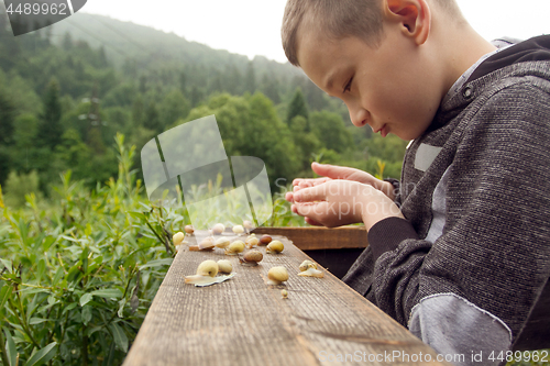 Image of Boy and Group of Snails