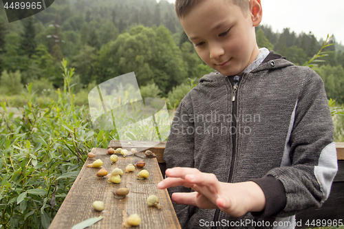 Image of Boy and Group of Snails