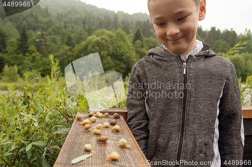 Image of Boy and Group of Snails