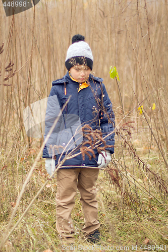 Image of Child Was Lost in the Forest