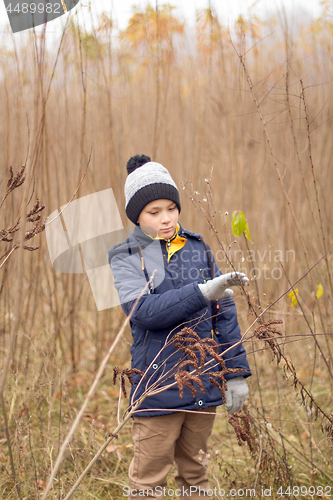 Image of Child Was Lost in the Forest