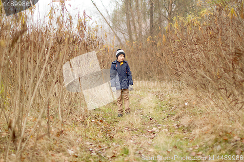 Image of Child Was Lost in the Forest