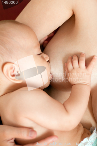 Image of Mother Breast Feeding Baby