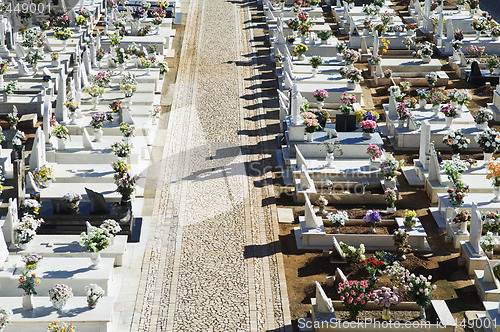 Image of Catholic cemetery in Alentejo, Portugal