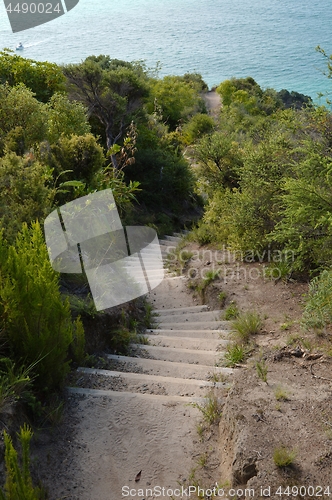 Image of Path with stair in New Zealand