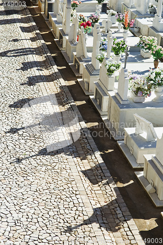 Image of Catholic cemetery in Alentejo, Portugal