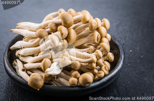 Image of Buna Shimeji - edible mushroom from East Asia