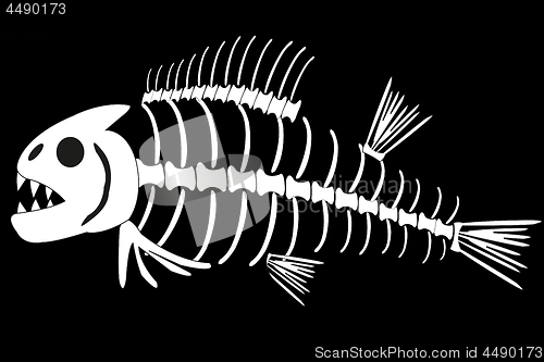 Image of Skeleton of fish on white background is insulated