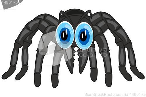 Image of Poisonous spider tarantula on white background is insulated