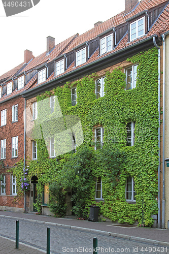 Image of Green Facade