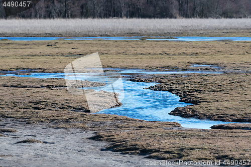 Image of Wetland by early springtime