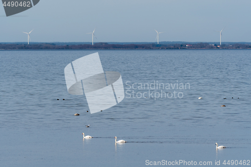 Image of Beautiful view with windmills by the coast