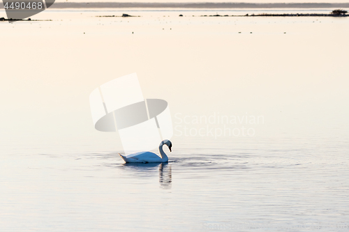 Image of Evening by an absolutely calm water