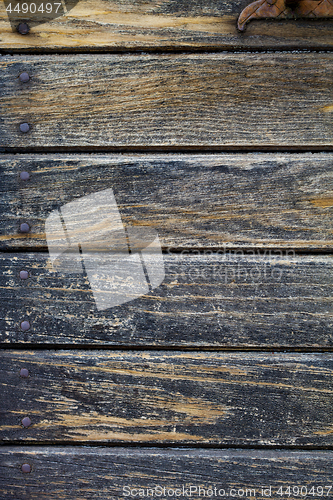 Image of Old wooden grunge door texture