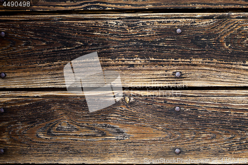 Image of Old wooden grunge door texture