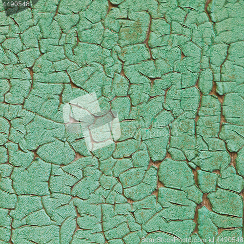 Image of Old green painted grunge texture