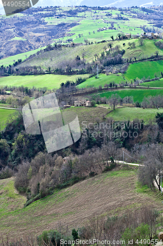 Image of Green spring lush countryside