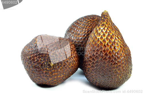 Image of Snake fruit isolated on the white background