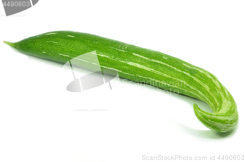 Image of Snake gourd isolated