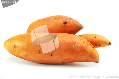 Image of Sweet potatoes isolated