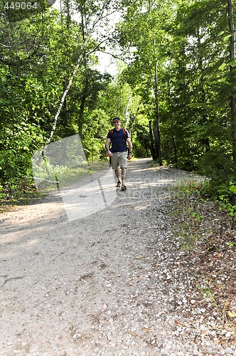 Image of Man walking on forest trail