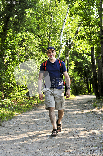 Image of Man walking on forest trail