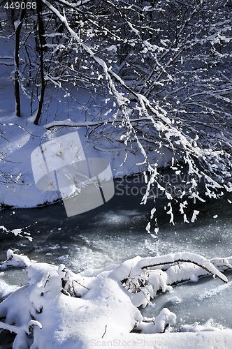 Image of Winter landscape