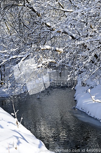 Image of Winter landscape