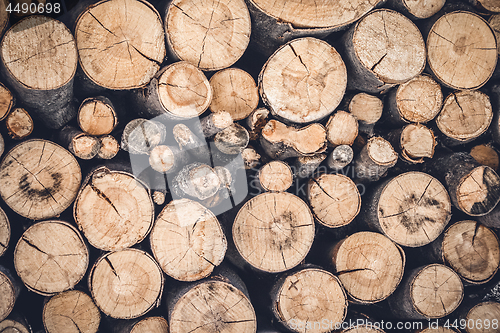 Image of Pile of cut wooden logs