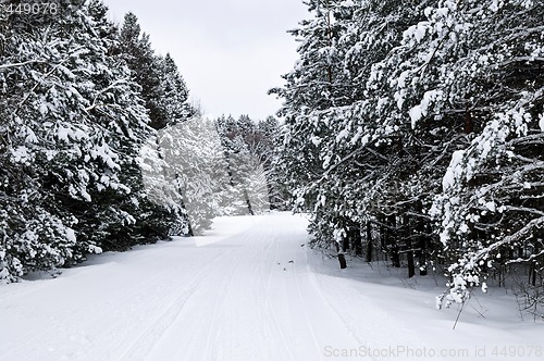 Image of Winter landscape