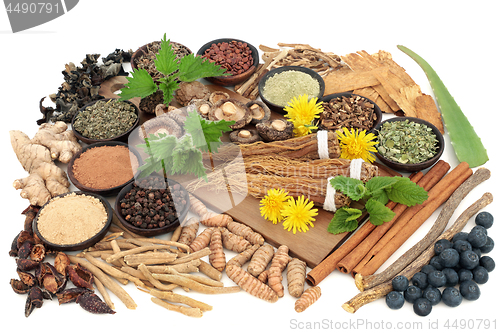 Image of Adaptogen Herb and Spice Food Selection