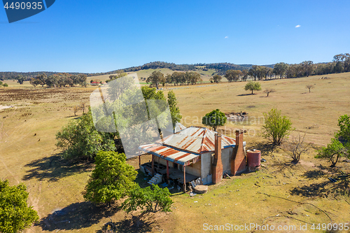 Image of Run down abandoned farm house now has the run of sheep