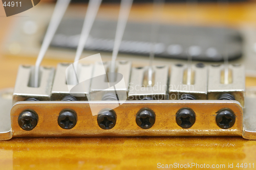 Image of Guitar Macro