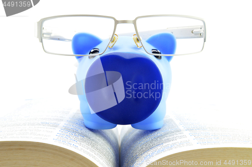 Image of Blue piggy bank on a text books