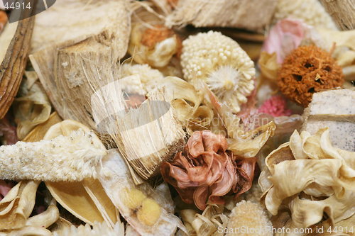 Image of Pot Pourri