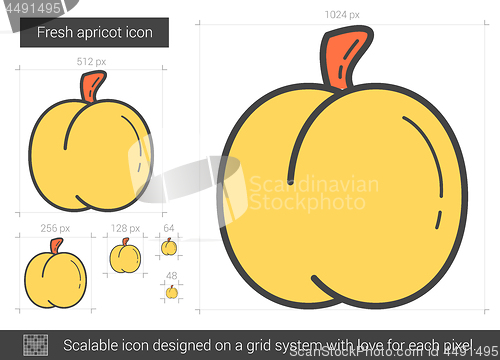 Image of Fresh apricot line icon.