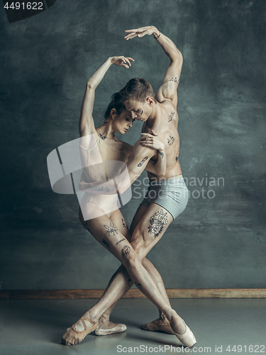 Image of The young modern ballet dancers posing on gray studio background