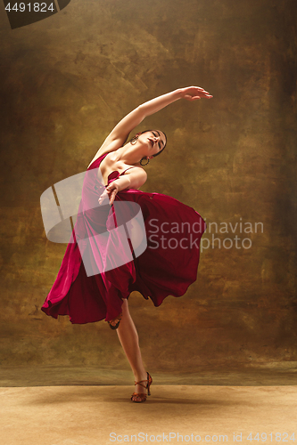 Image of Young ballet dancer - Harmonious pretty woman with tutu posing in studio -