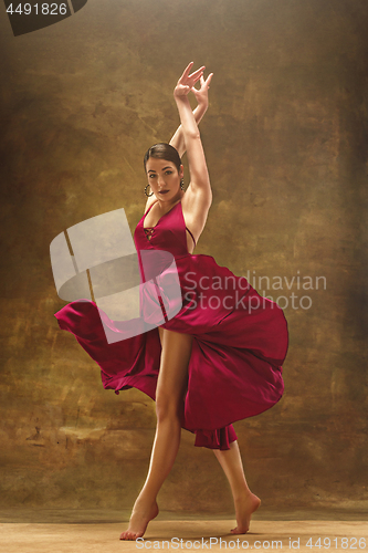 Image of Young ballet dancer - Harmonious pretty woman with tutu posing in studio -