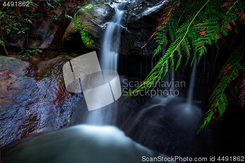 Image of Leura Cascades waterfall