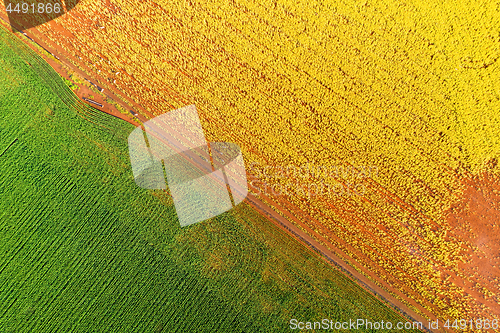 Image of Canola Wheat abstract aerial