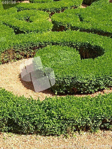 Image of close-up of french garden