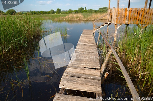 Image of Swamp walking path