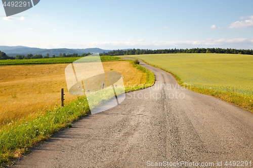 Image of Road through farmlands