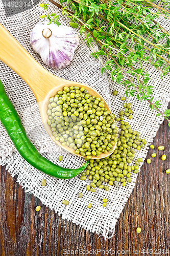 Image of Mung beans in spoon on burlap top