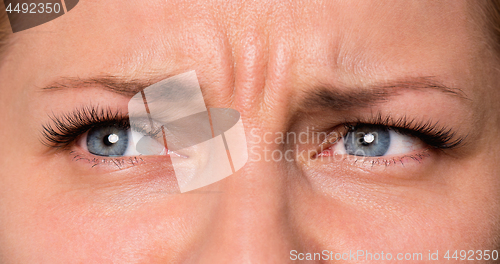 Image of Face woman with eyes and eyelashes