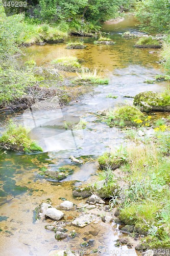 Image of Stream in the Green