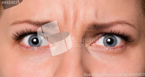 Image of Face woman with eyes and eyelashes