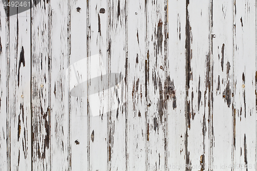 Image of Old wooden white door background.